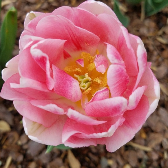 Meet your Posher, Brighton - Picture 1 of 1